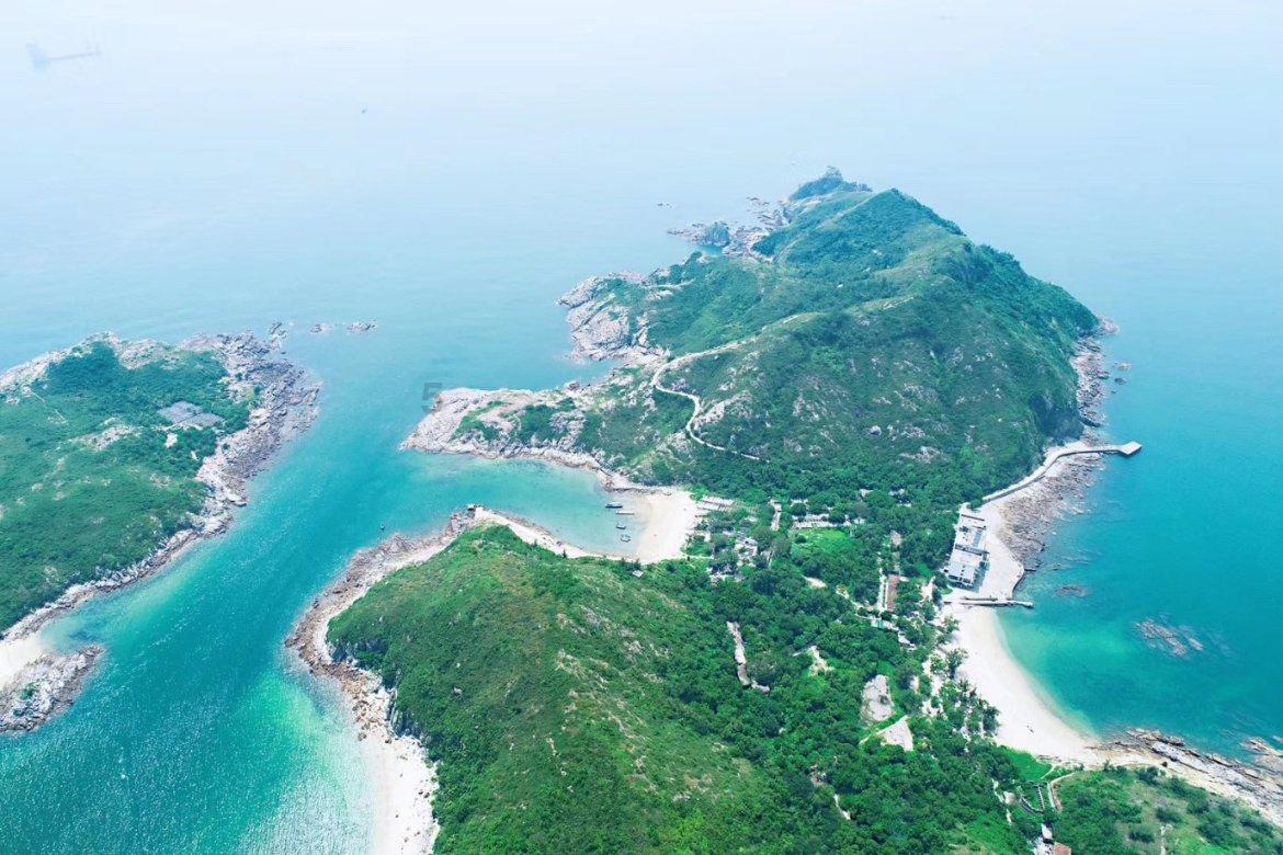 过期的酸奶可以用来浇花当肥料吗